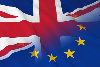 ANNOUNCEMENT - UK Government extends the “6 month grace period” Europe to UK from 1st July 2021 to 1st Jan 2022
